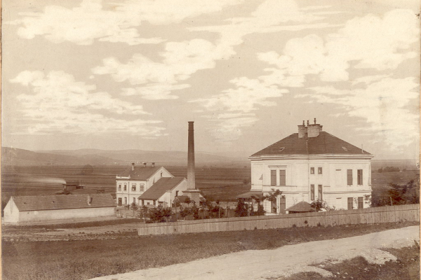 Főtelep 1900. június 2-án